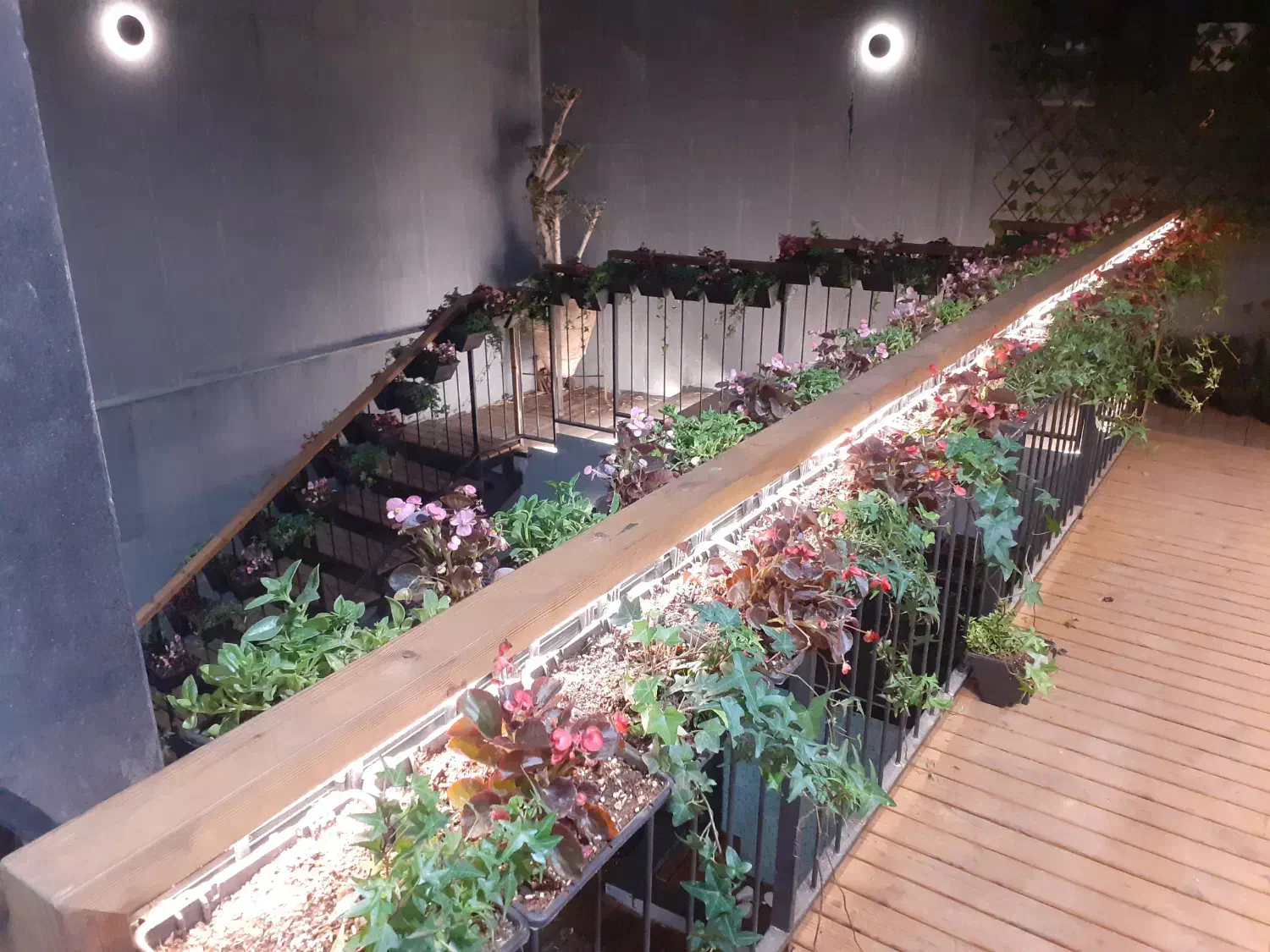 آبیاری قطره ای ،مه پاش و گرین وال|خدمات باغبانی و درختکاری|تهران, یوسفآباد|دیوار