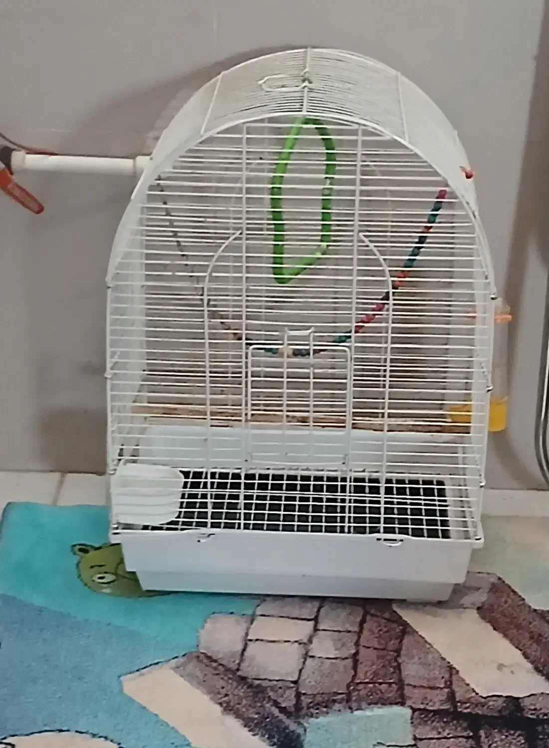 قفس|لوازم جانبی حیوانات|قم, شهدا|دیوار