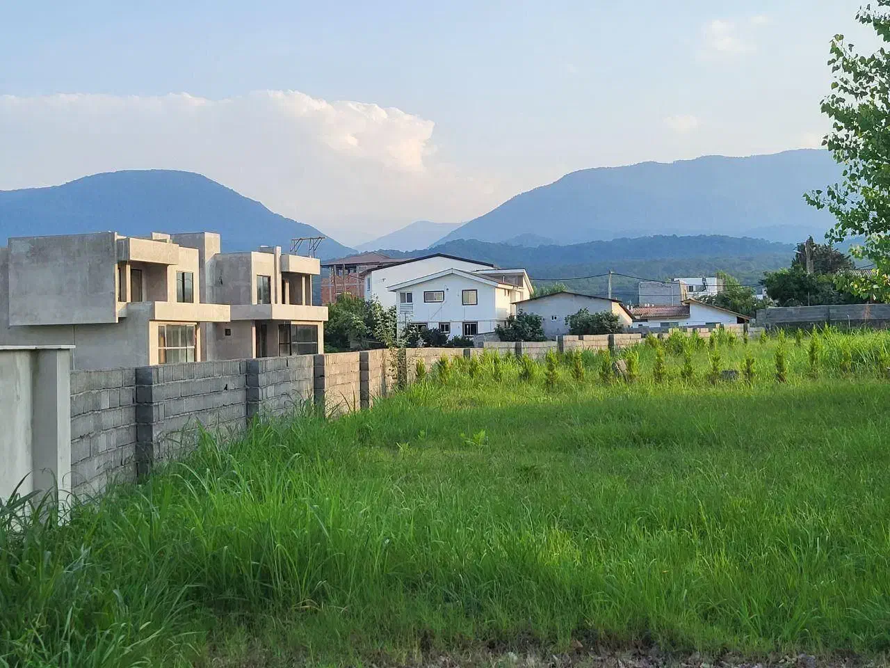 فروش فوری 246متر در شهرک جنگلی سنددار پرداخت با چک|فروش زمین و ملک کلنگی|خرمآباد (تنکابن), |دیوار