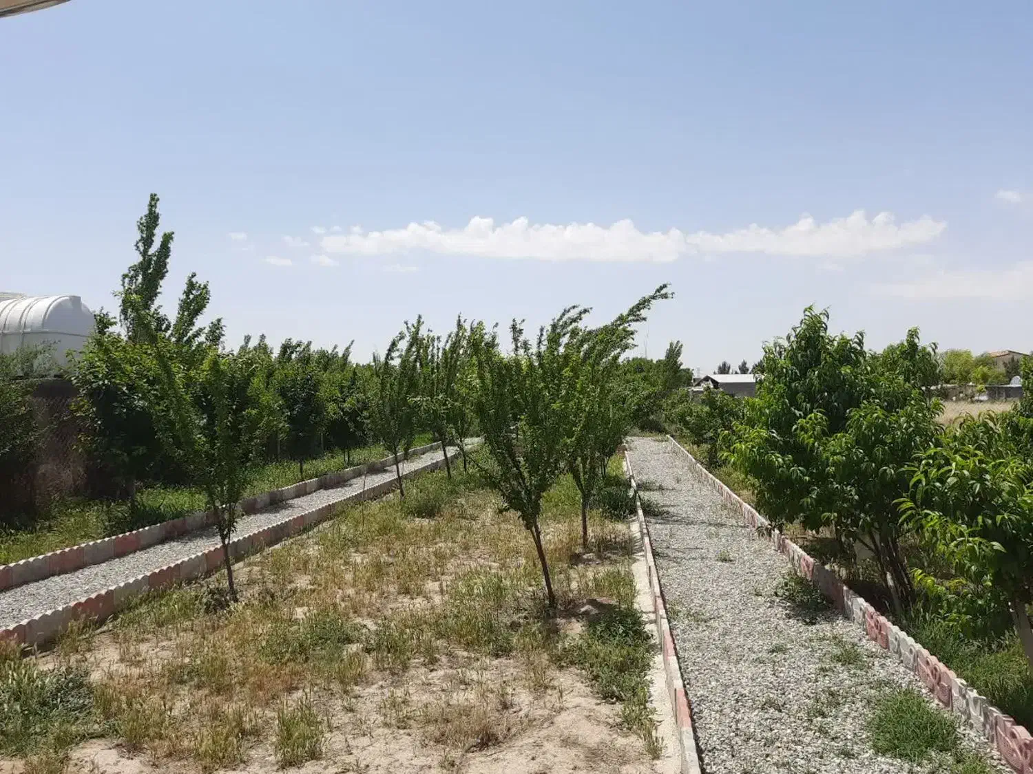 باغچه کاسبی کاسبی در بختیار فوری|فروش زمین و ملک کلنگی|تنکمان, |دیوار