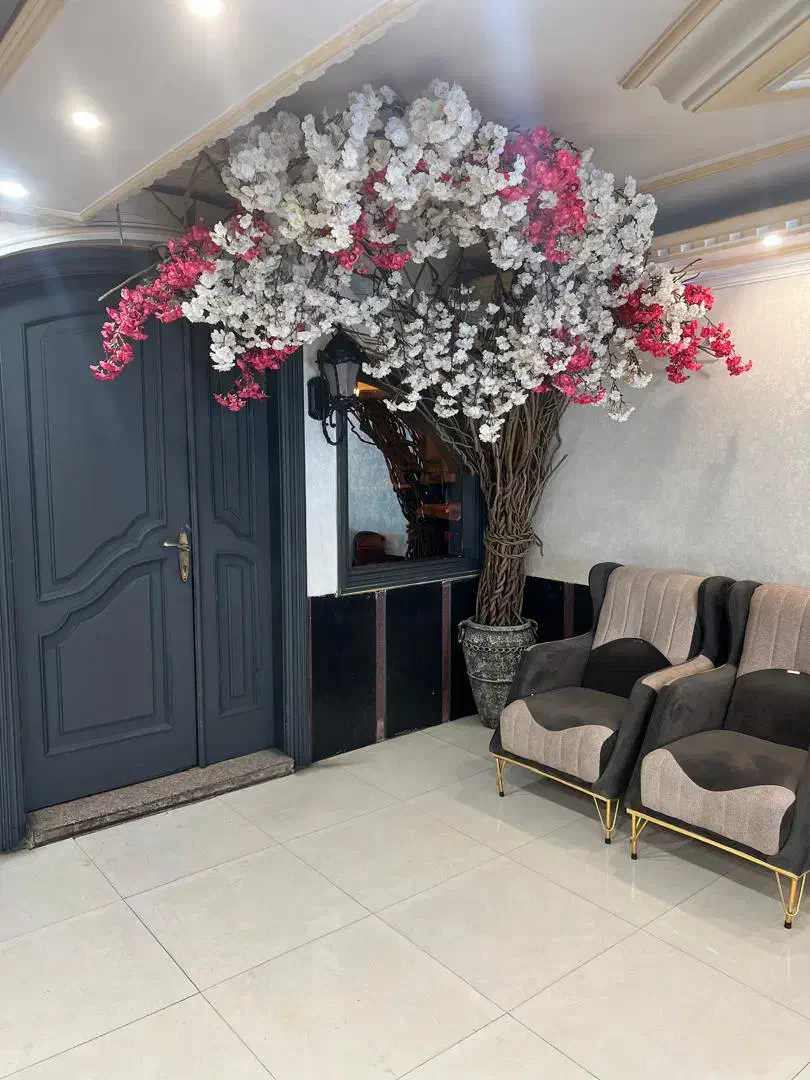 تور زیارتی مشهد قطار ویژه دی ماه|تور و چارتر|ایلام, |دیوار