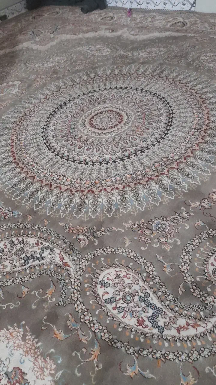 فرش ۱۲ متری|فرش|ماهدشت, |دیوار