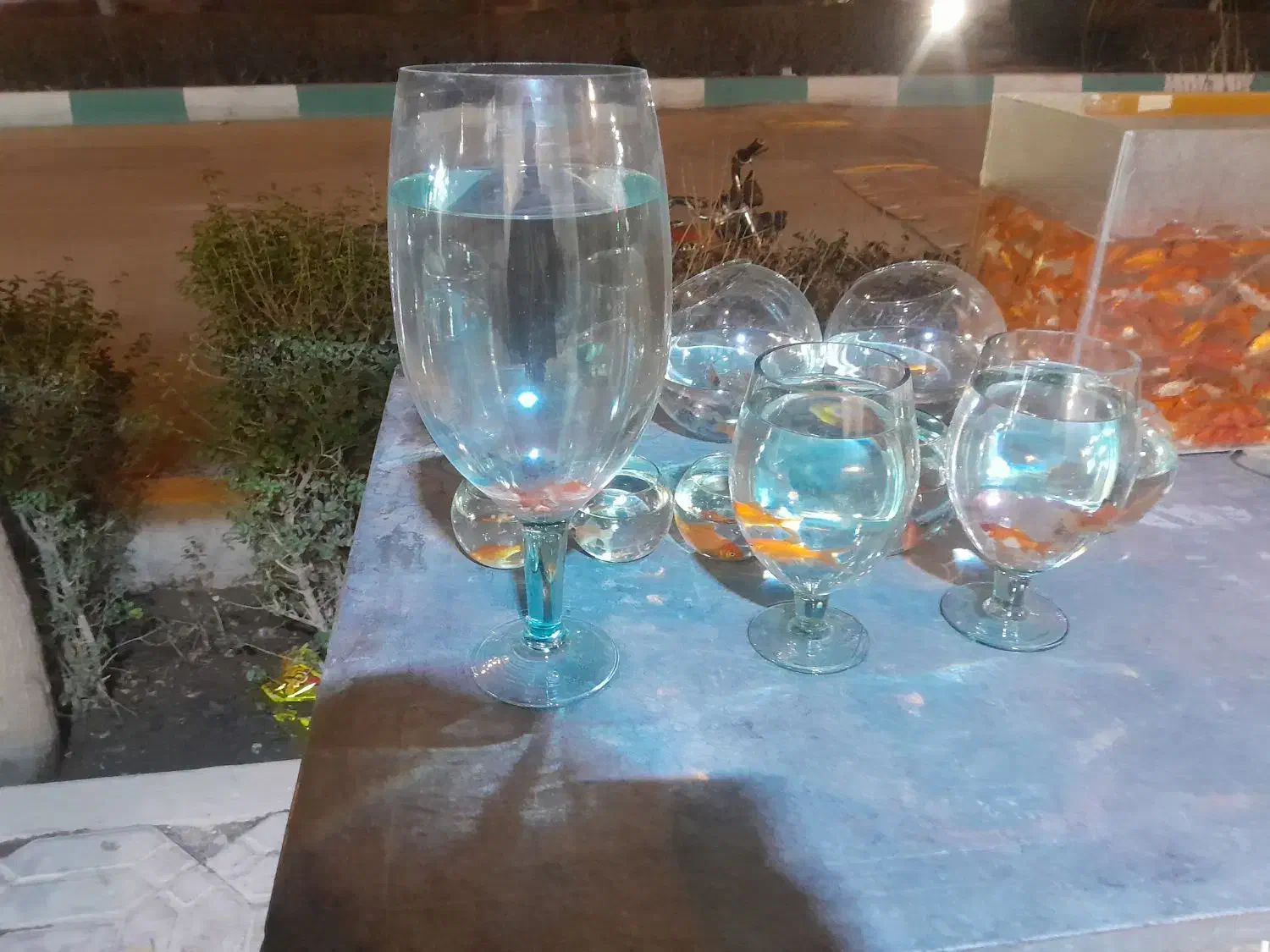 تنگ شب عید|ماهی|مبارکه, |دیوار