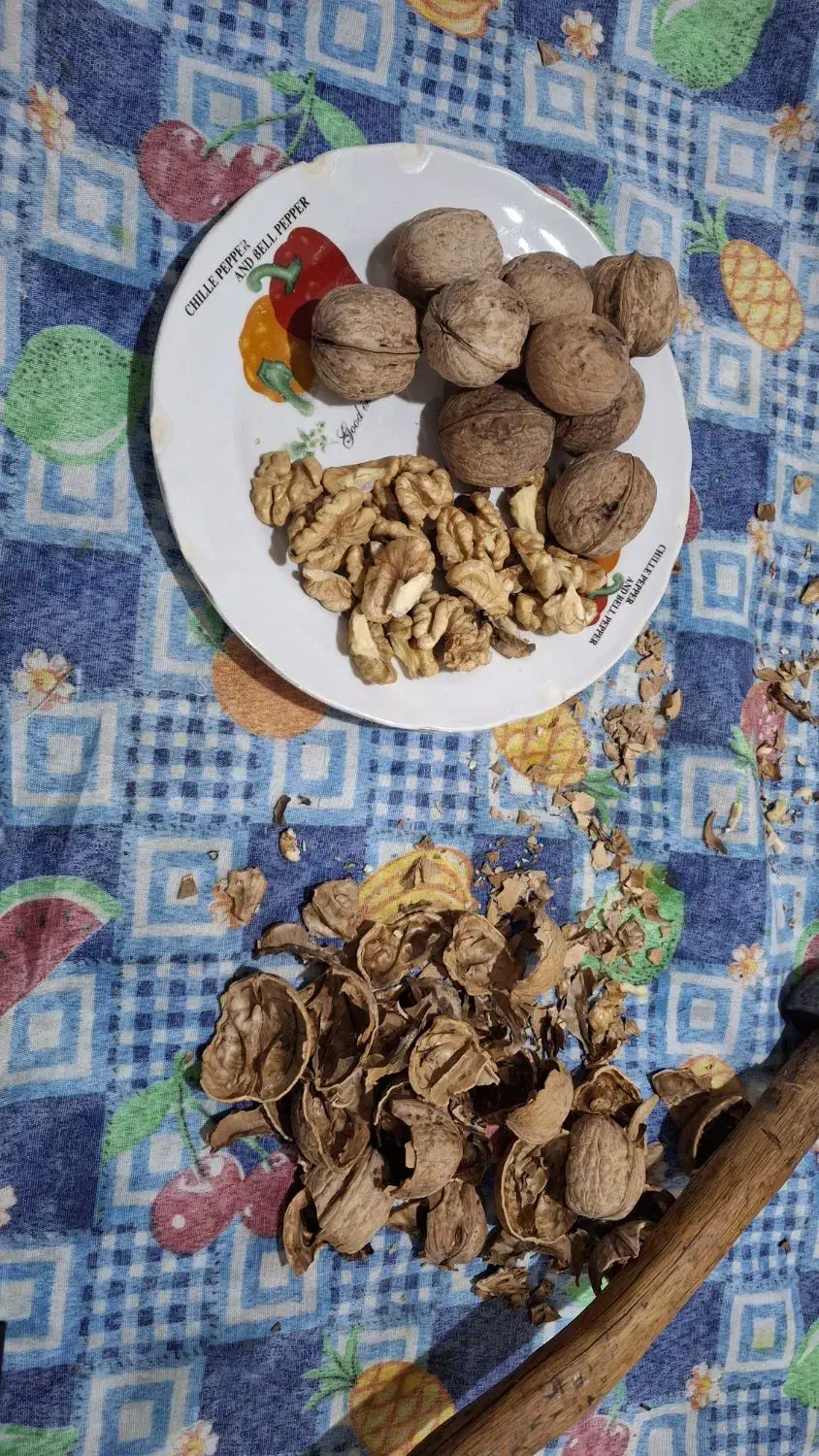 گردو محلی|خوردنی و آشامیدنی|فولادشهر, C4|دیوار