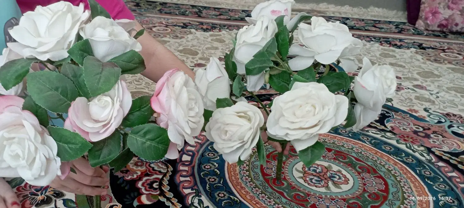 گل رز|گل و گیاه طبیعی|کرمانشاه, |دیوار