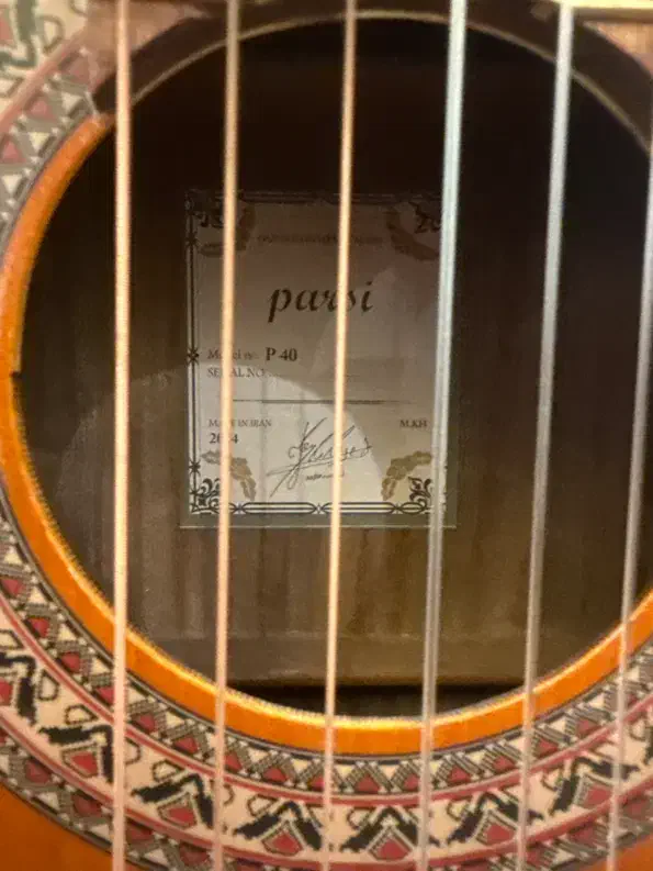 گیتار Parsi p40 در حد نو|گیتار، بیس، امپلیفایر|تهران, علم و صنعت|دیوار