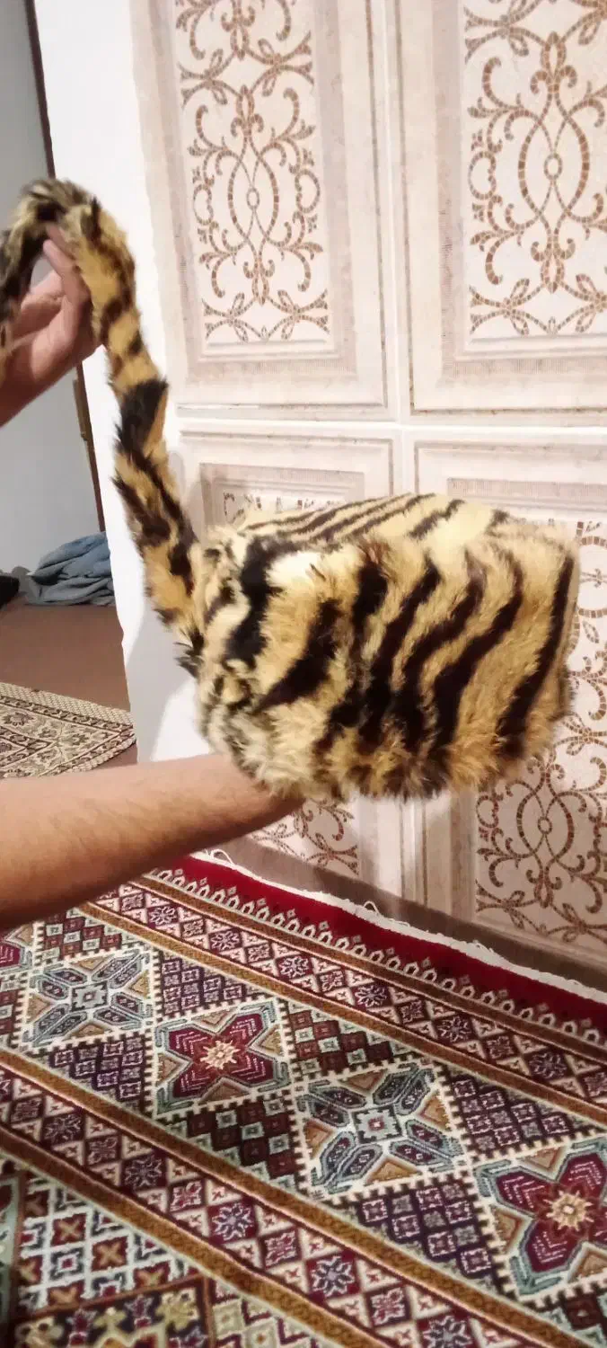 سلام کلاه روسی شال دار|لباس|گنبد کاووس, |دیوار