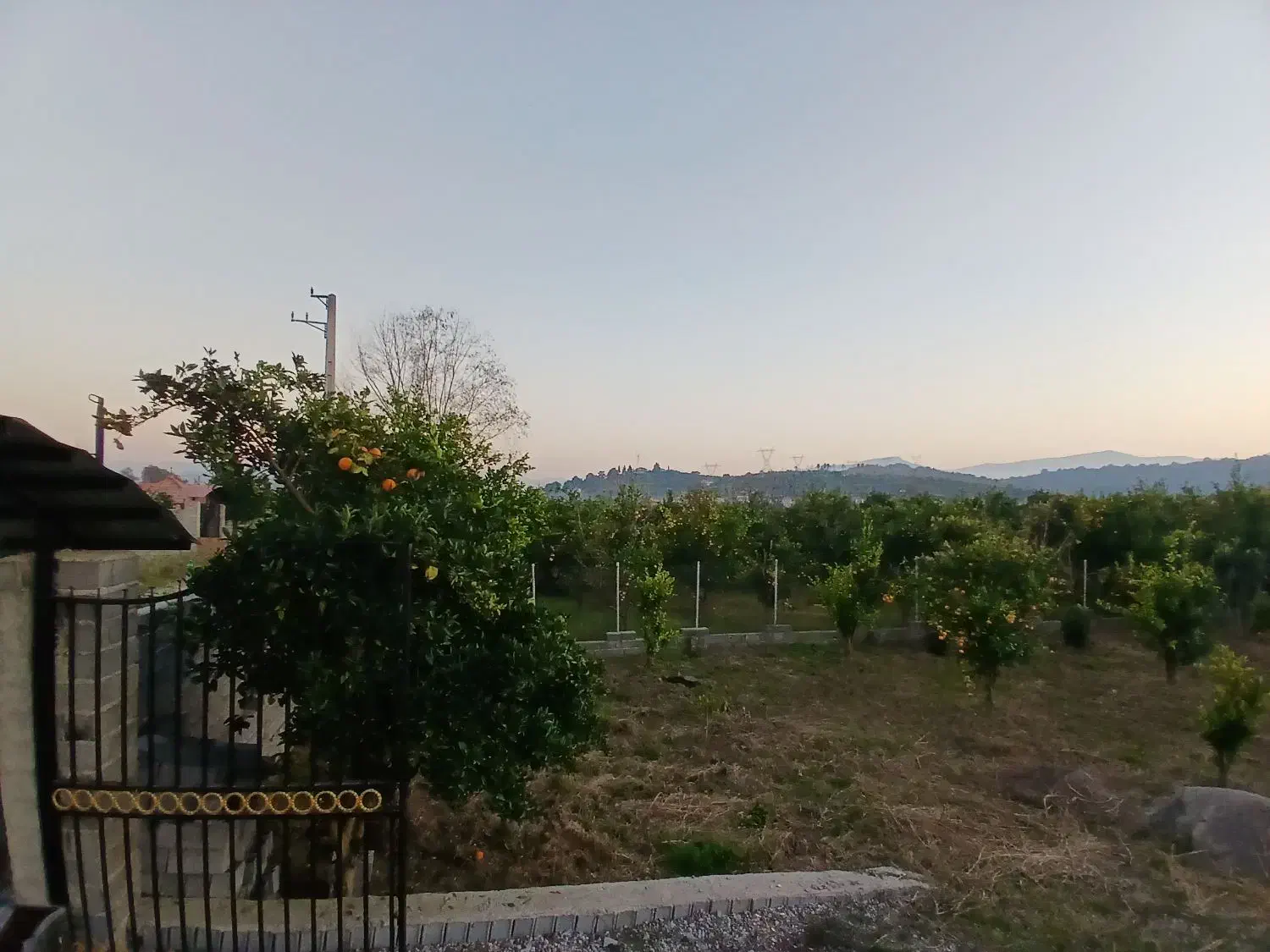 باغ پرتقال|فروش زمین و ملک کلنگی|باقرشهر, |دیوار