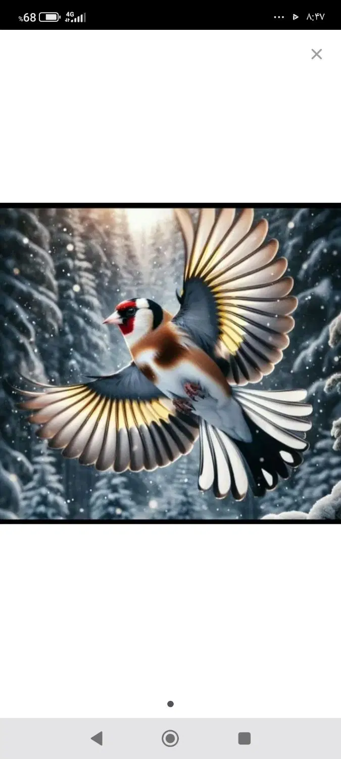 سهره|پرنده|شازند, |دیوار