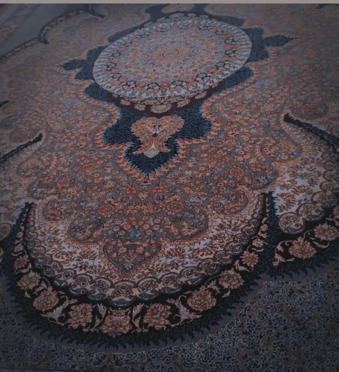 دو عدد قالی ۱۲متری|فرش|شهرکرد, |دیوار