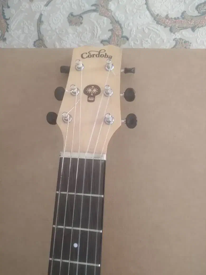 گیتار|گیتار، بیس، امپلیفایر|شیراز, رکنآباد|دیوار