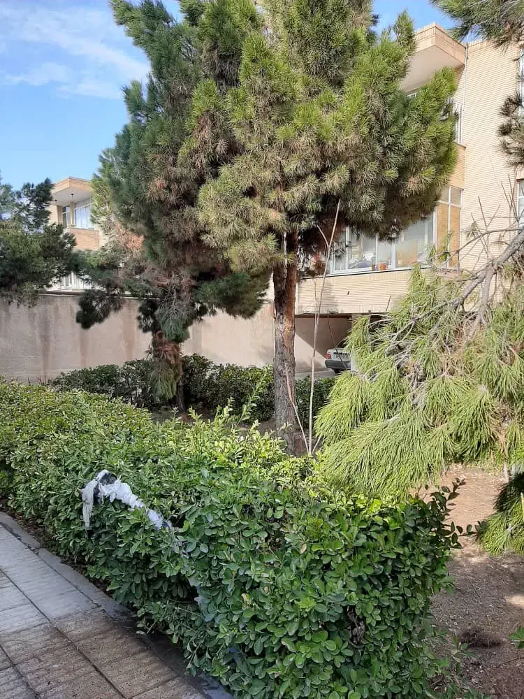 ۱۱۲‌متر‌تخلیه|اجارهٔ آپارتمان|مشهد, شهرآرا|دیوار