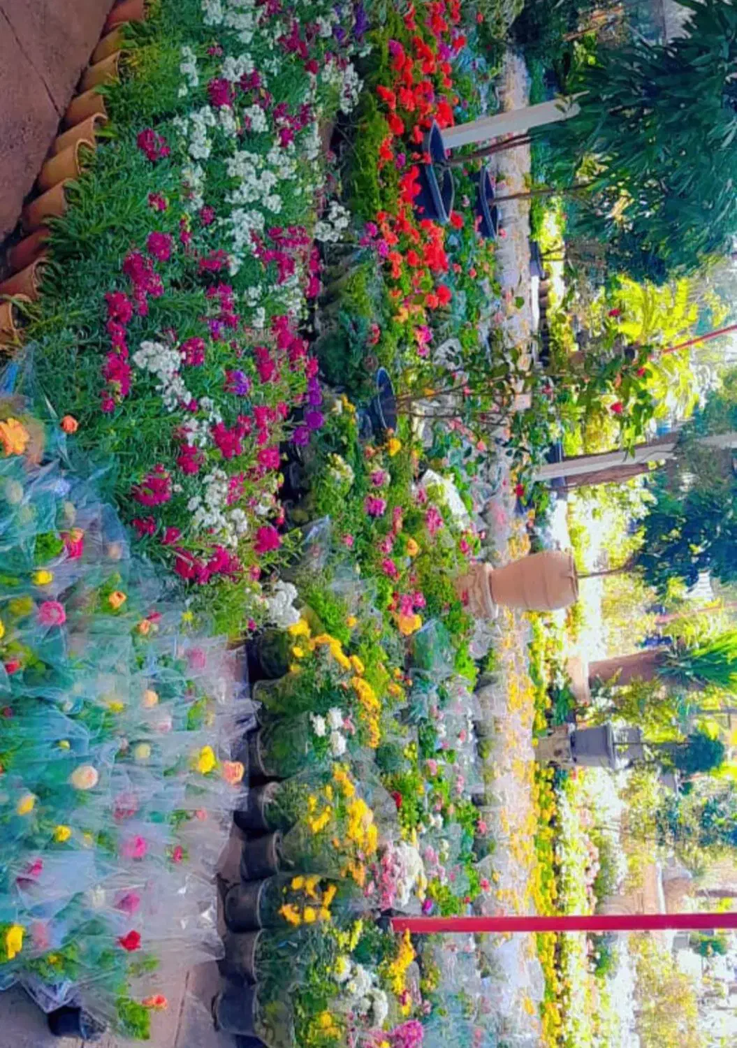 انجام کلیه کارهای باغچه و باغبانی|خدمات باغبانی و درختکاری|اهواز, بهارستان|دیوار