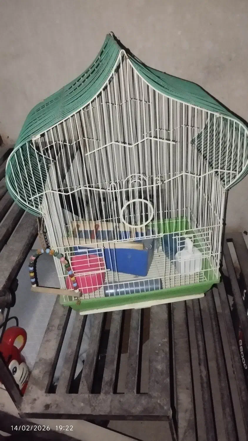 قفس پرنده|لوازم جانبی حیوانات|ساوه, |دیوار