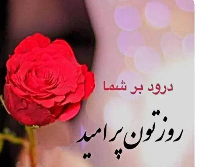 پرستار ماما فوق دیپلم مامایی یا تکنسین اتاق عمل|استخدام درمانی، زیبایی، بهداشتی|کرج, کیانمهر|دیوار