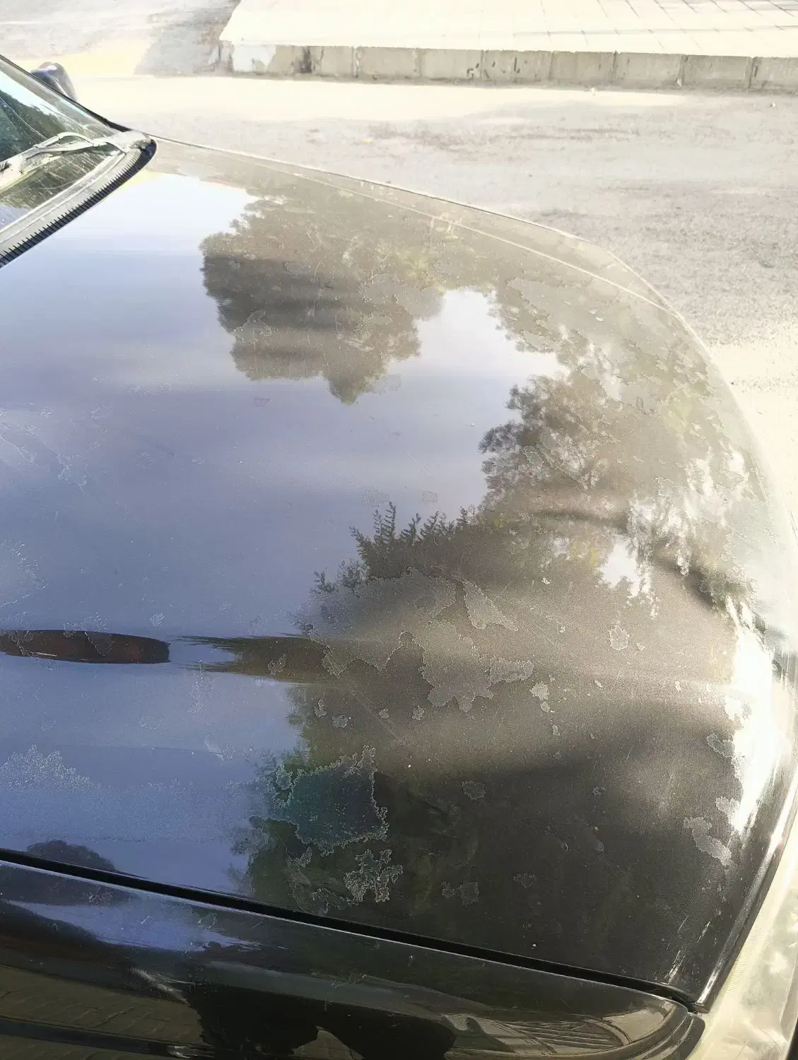 پژو پارس ELX مدل ۱۳۹۰|خودرو سواری و وانت|کرمانشاه, |دیوار