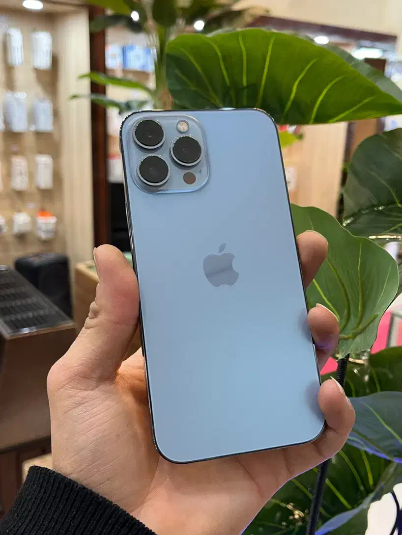 iPhone. 13 promax|موبایل|یزد, |دیوار