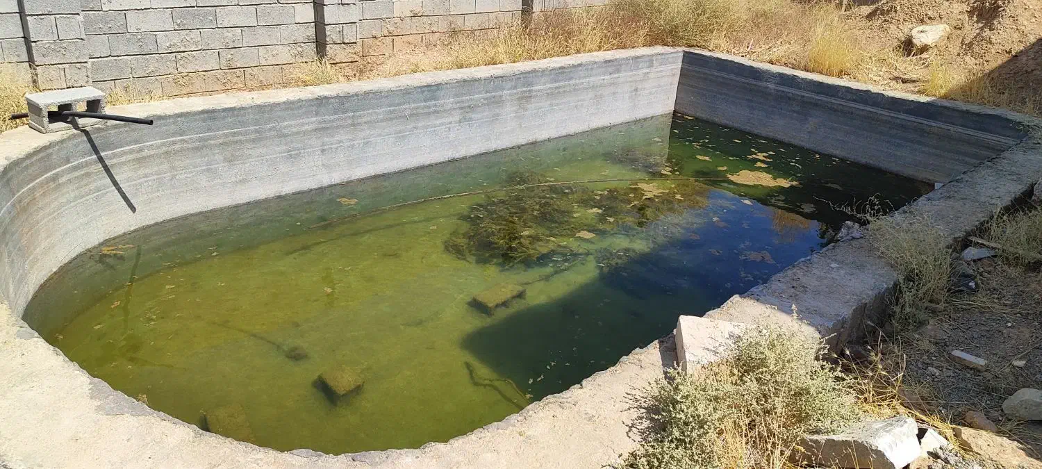 ویلا باغ اسکلیت|فروش خانه و ویلا|شیراز, بید زرد|دیوار