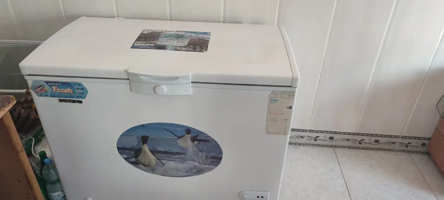 وسایل مرغ فروشی|فروشگاه و مغازه|بندر ترکمن, |دیوار