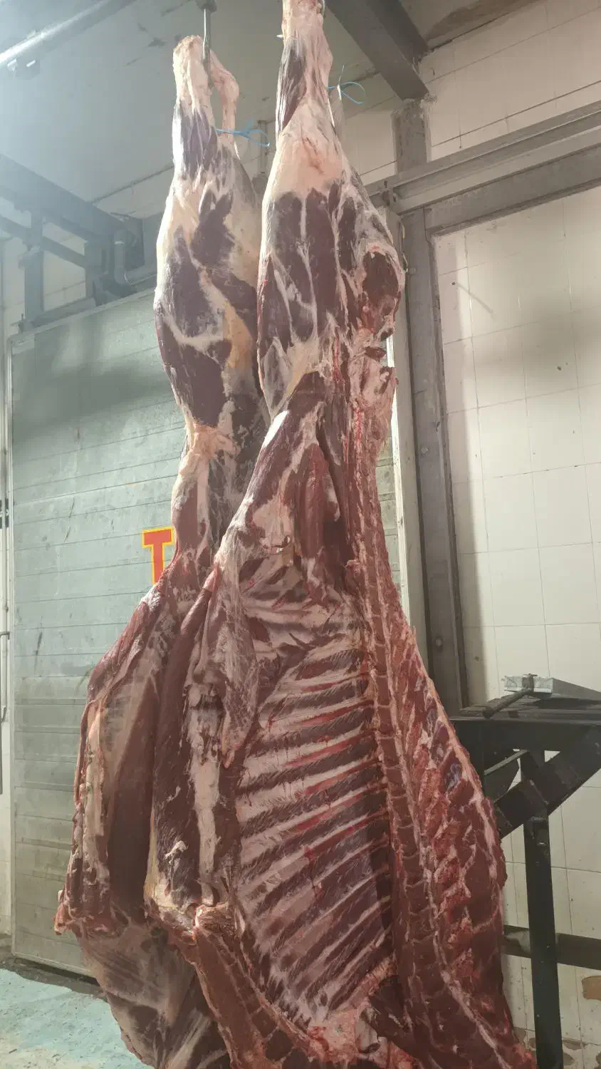 فروش گوشت گوسفند و گوساله|خوردنی و آشامیدنی|تبریز, |دیوار