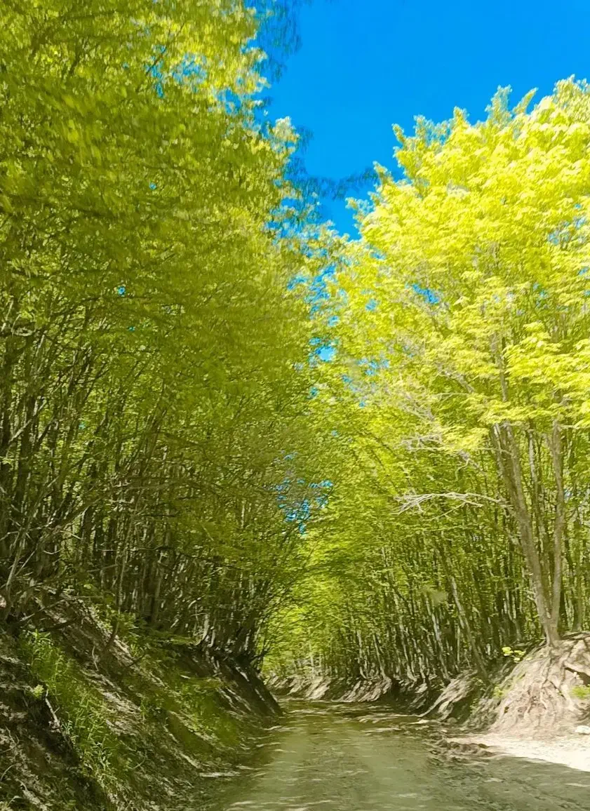 یه راز بگو..|فعالیت داوطلبانه|گنبد کاووس, |دیوار