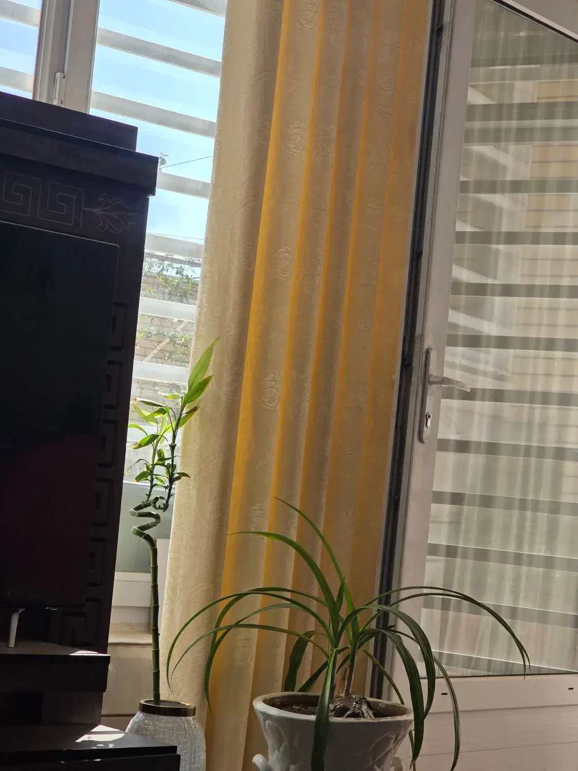 رهن و اجاره|اجارهٔ آپارتمان|رفسنجان, |دیوار