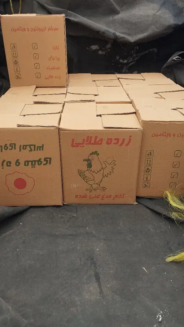 تخم‌مرغ زرده طلا|خوردنی و آشامیدنی|خوی, |دیوار