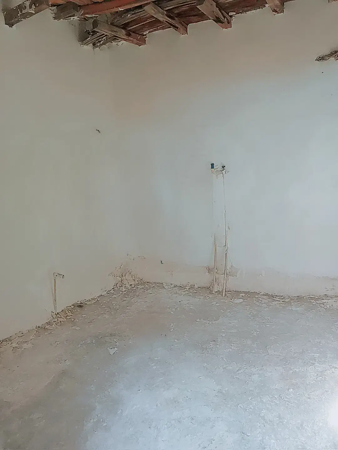 اجاره خانه ویلایی|اجارهٔ خانه و ویلا|بندرعباس, |دیوار