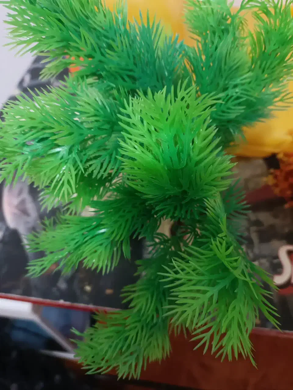 آکواریوم شیشه خم|ماهی|بافت, |دیوار