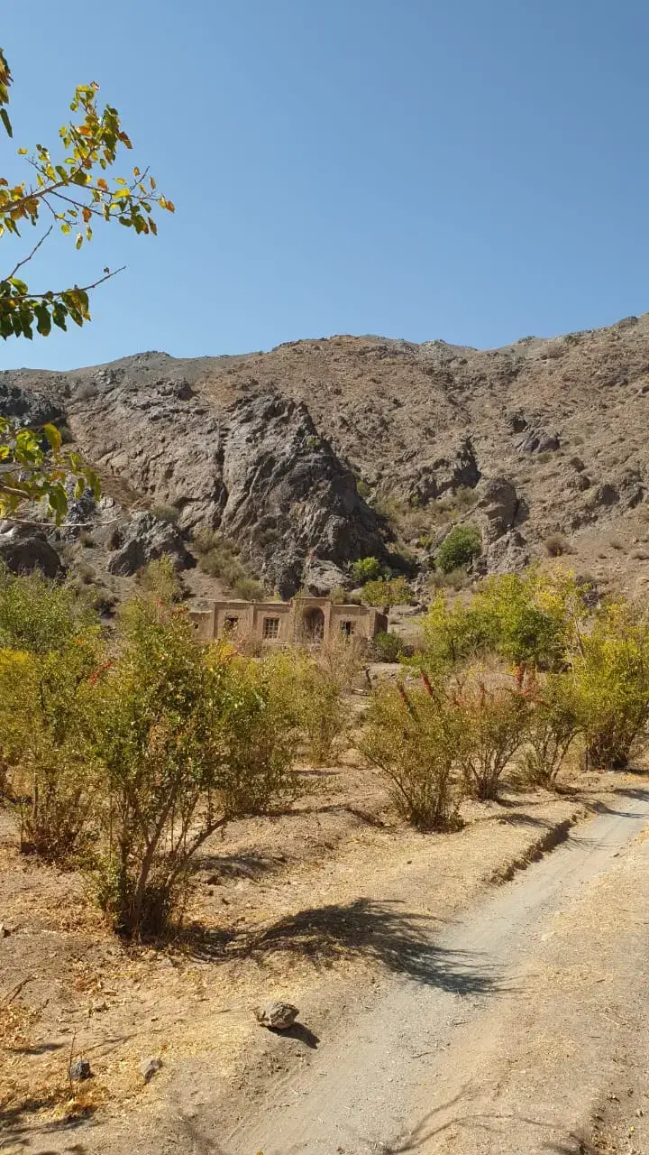تصویر 5