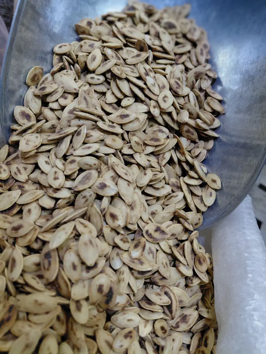 تخمه کدو درشت درجه یک خالدار و گوشتی|خوردنی و آشامیدنی|قم, منبع آب|دیوار