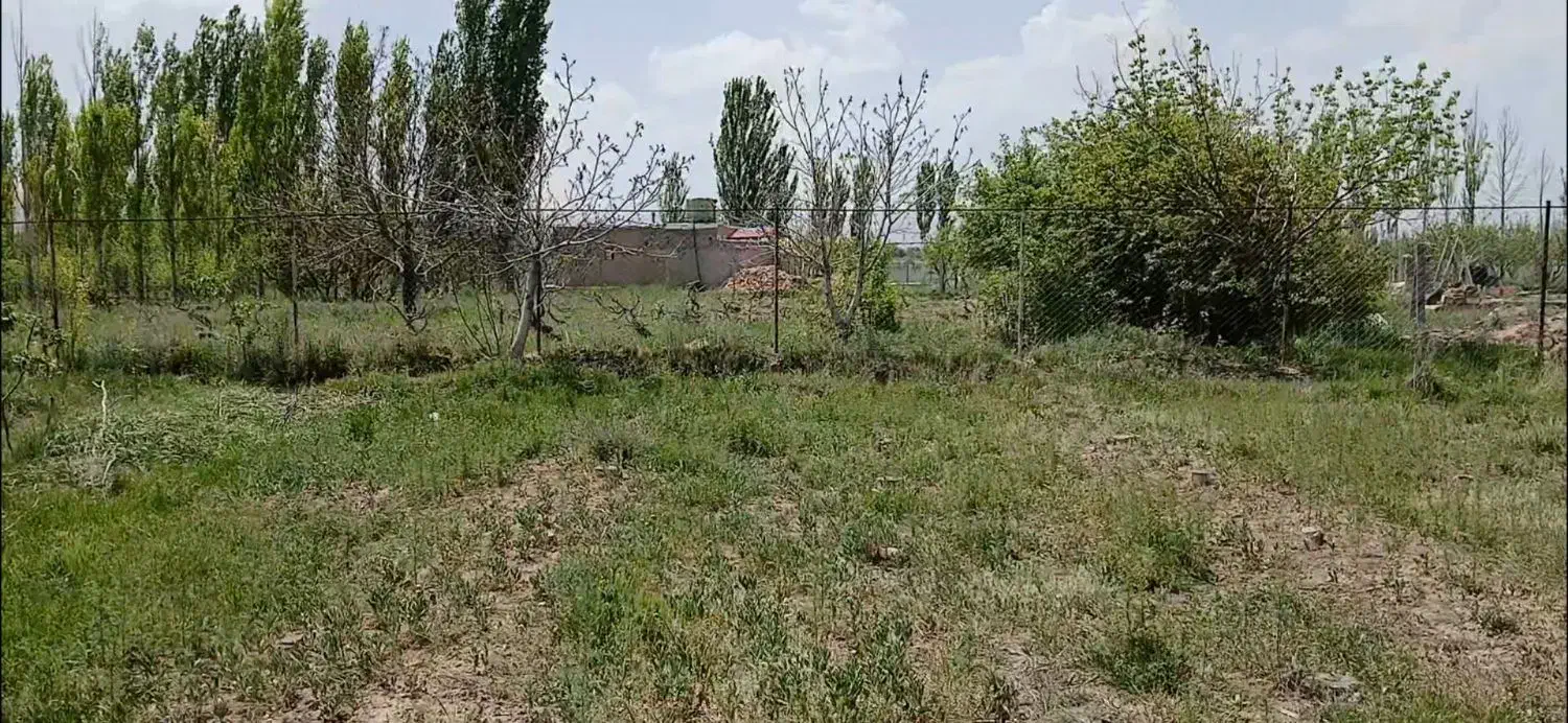 زمین  1100 متری مناسب برای باغچه|فروش دفتر صنعتی، کشاورزی، تجاری|ابهر, |دیوار