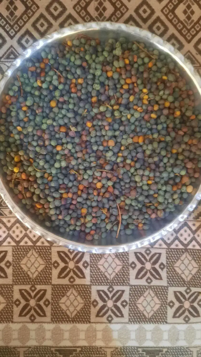 بنه کوهی|خوردنی و آشامیدنی|شیراز, میانرود|دیوار