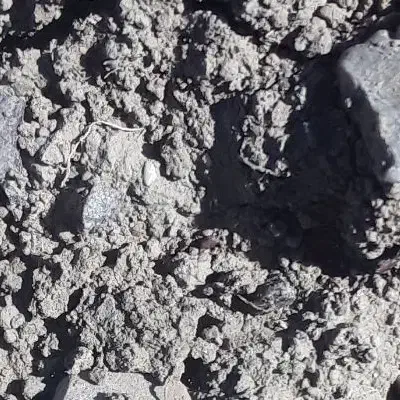 کار ساختمانی|خدمات پیشه و مهارت|الشتر, |دیوار