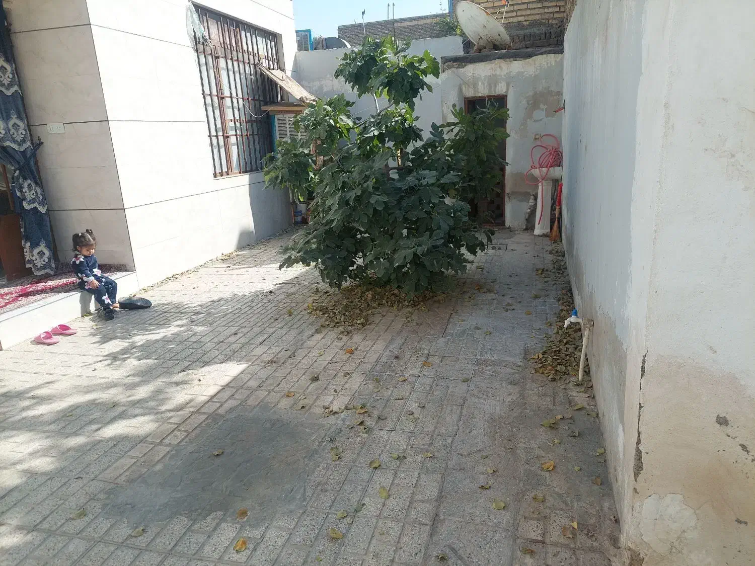 ملک ویلایی بزرگ و دلباز پنجتن ۶۰|فروش خانه و ویلا|مشهد, شهید قربانی|دیوار