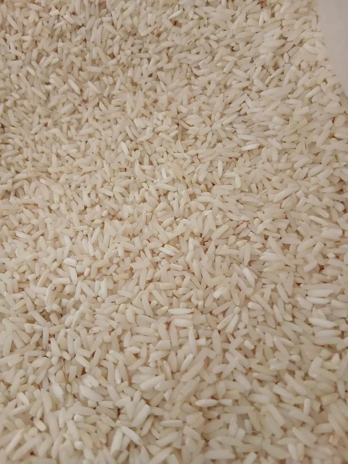 برنج لاشه|خوردنی و آشامیدنی|آستانه اشرفیه, |دیوار