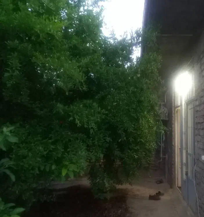 اجاره خانه ویلایی ماهان|اجارهٔ خانه و ویلا|ماهان, |دیوار