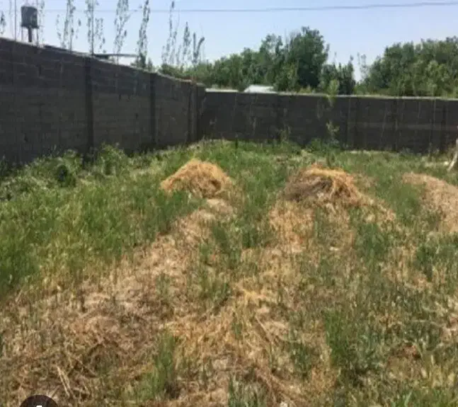 زمین ۲۵۰ متری مدرس رودهن|فروش زمین و ملک کلنگی|رودهن, |دیوار