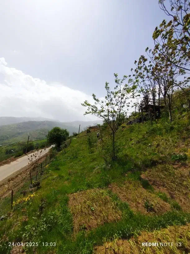 زمین ییلاقی|فروش خانه و ویلا|تالش, تالش|دیوار