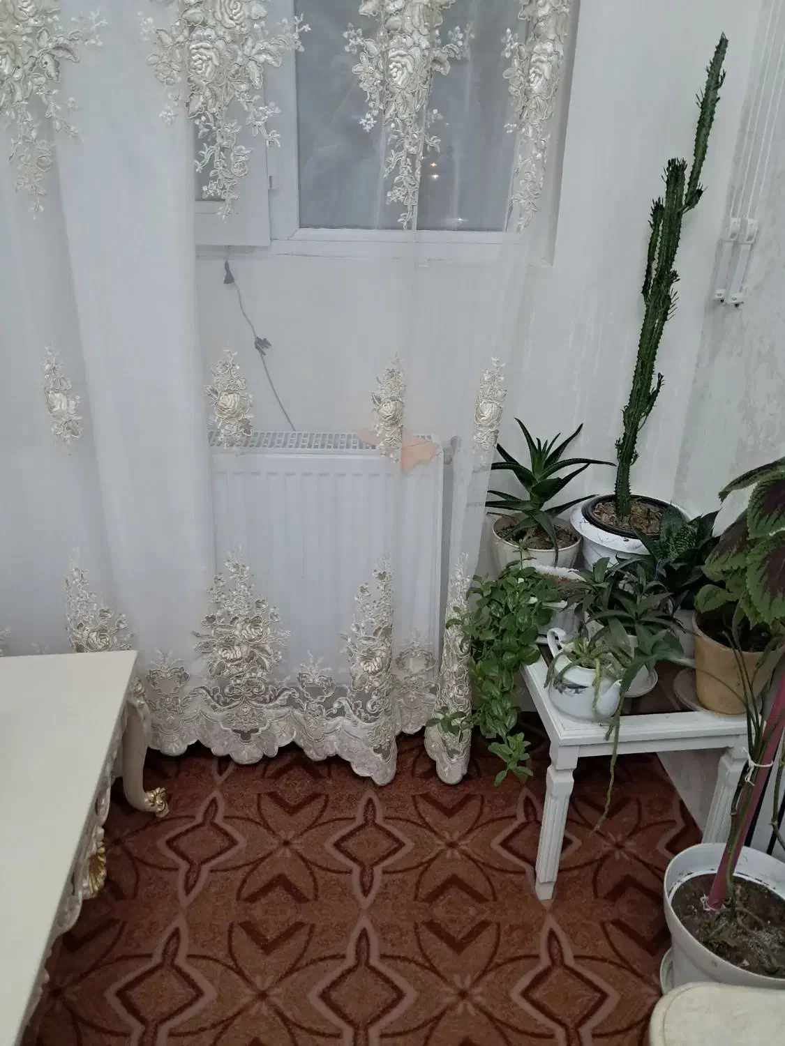 پرده  در حد نو|پرده، رانر، رومیزی|اردبیل, |دیوار
