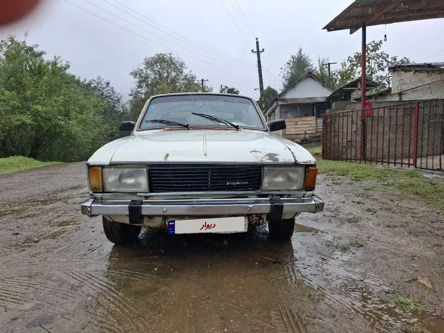 ماشین پیکان مدل 82|خودرو سواری و وانت|فومن, |دیوار