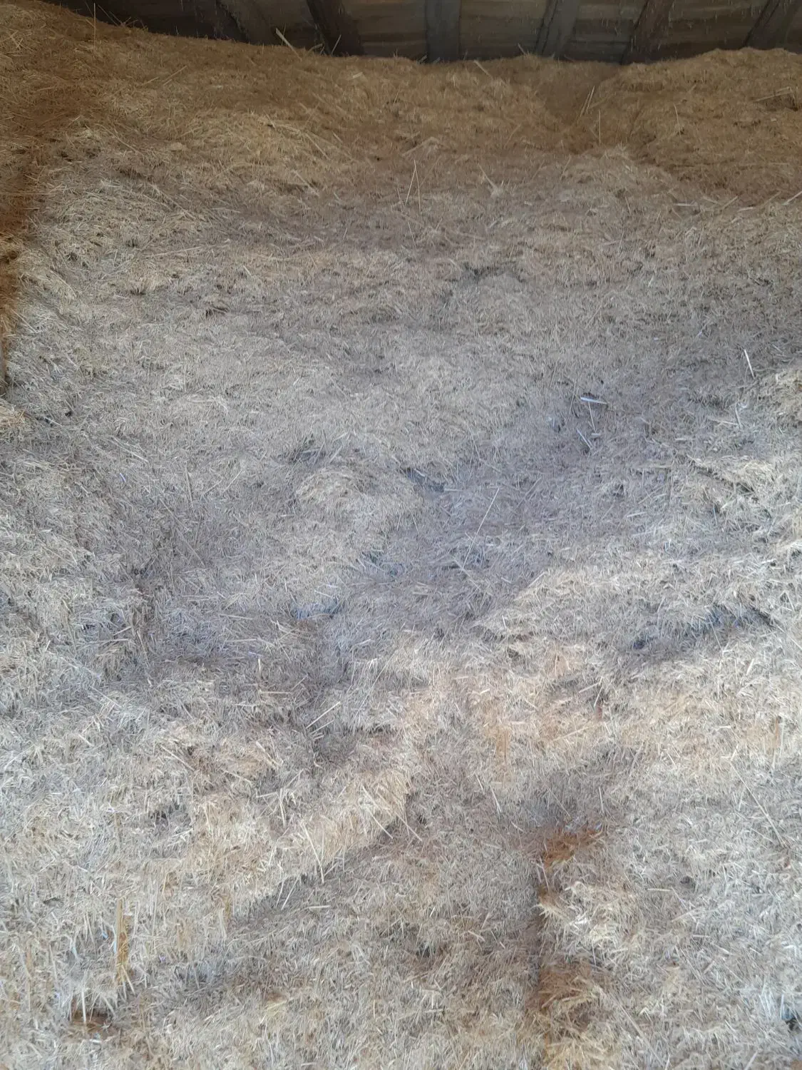 کاه گندم|حیوانات مزرعه|میلاجرد, |دیوار