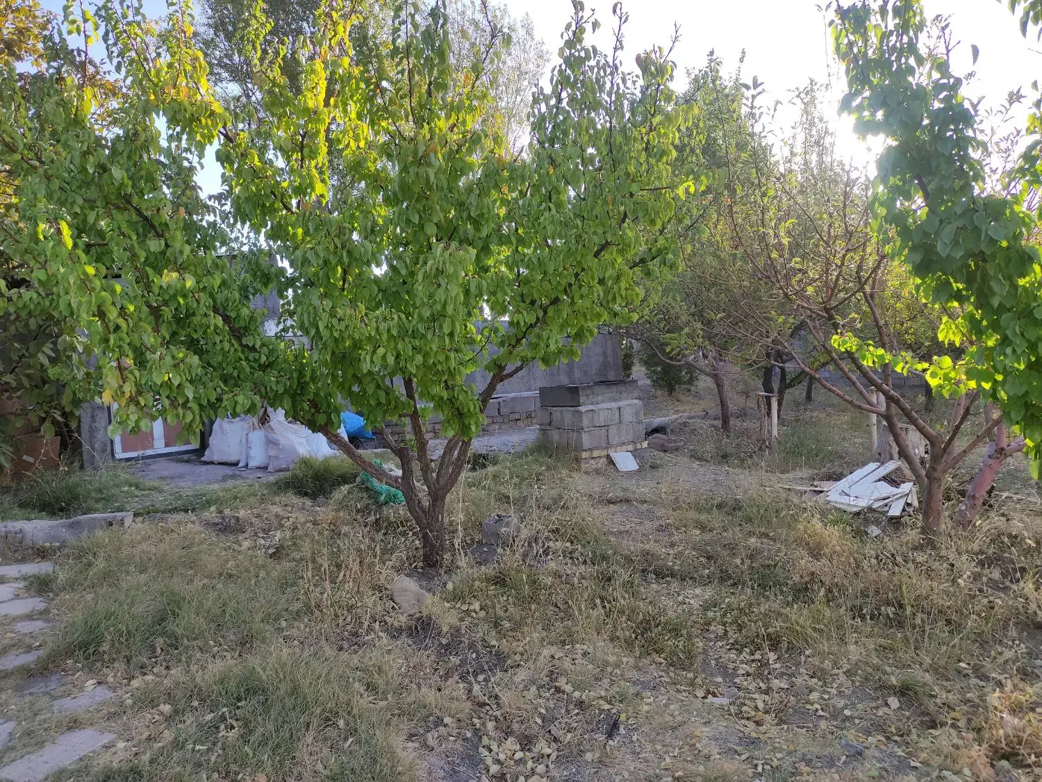 باغ جاده فرودگاه 3کیلومتری شهر|فروش دفتر صنعتی، کشاورزی، تجاری|زنجان, |دیوار