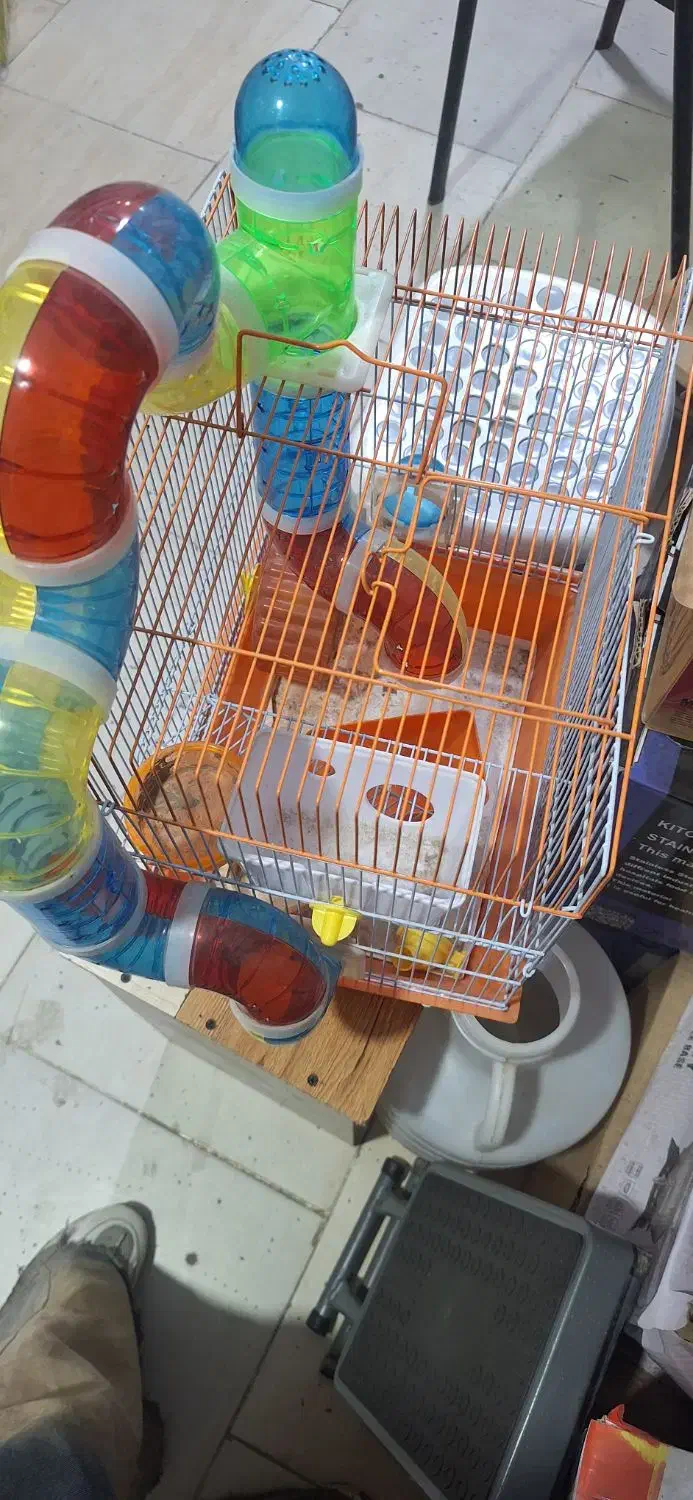 قفس|لوازم جانبی حیوانات|رشت, انصاری|دیوار