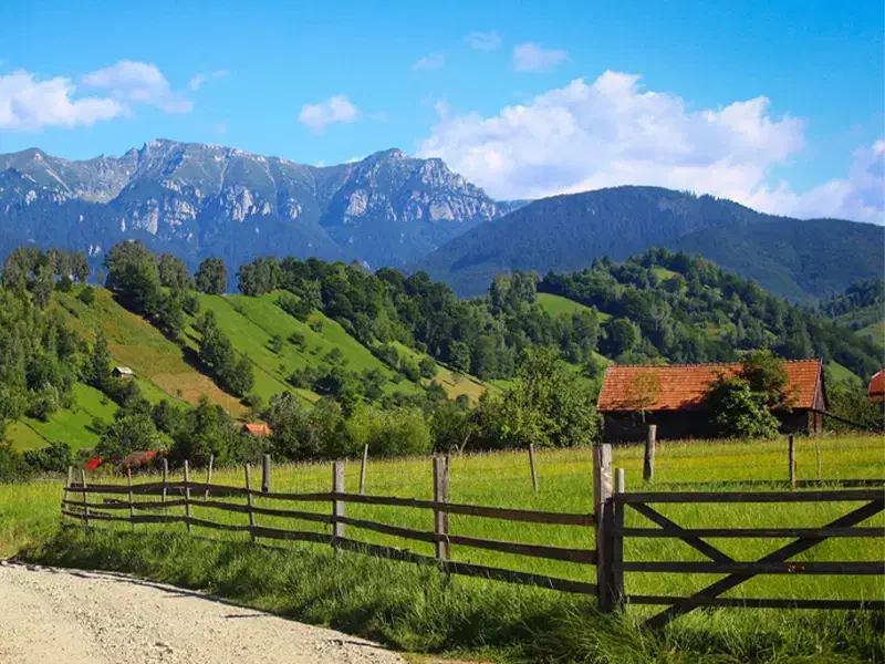 فروش باشگاه پرورش اسب|فروش خانه و ویلا|اشکذر, |دیوار