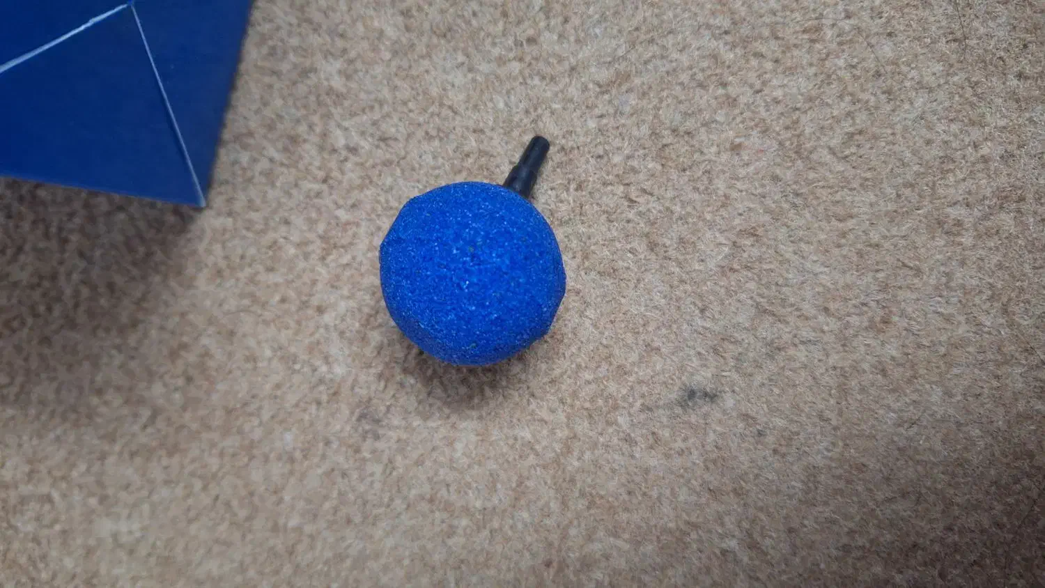 وسایل لوازم اکواریوم|ماهی|قم, حاج زینل|دیوار