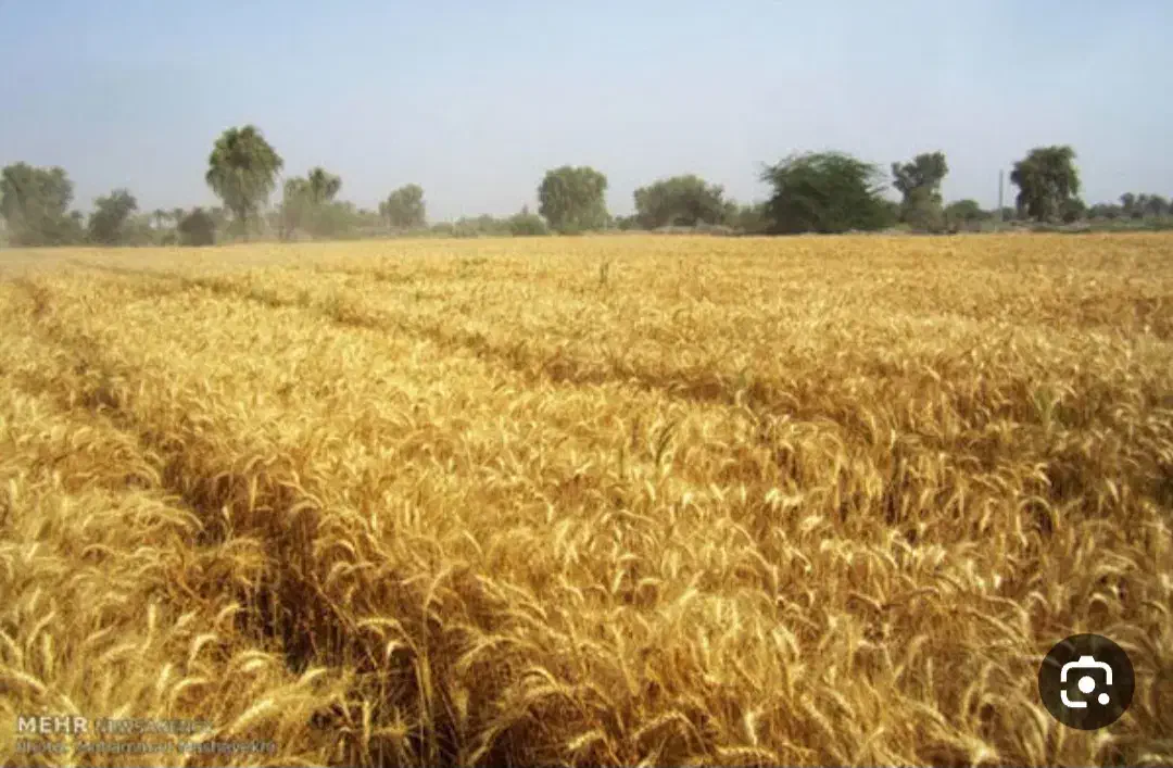 فروش زمین گهمال بالاتر از حاجی آباد|فروش دفتر صنعتی، کشاورزی، تجاری|لردگان, |دیوار