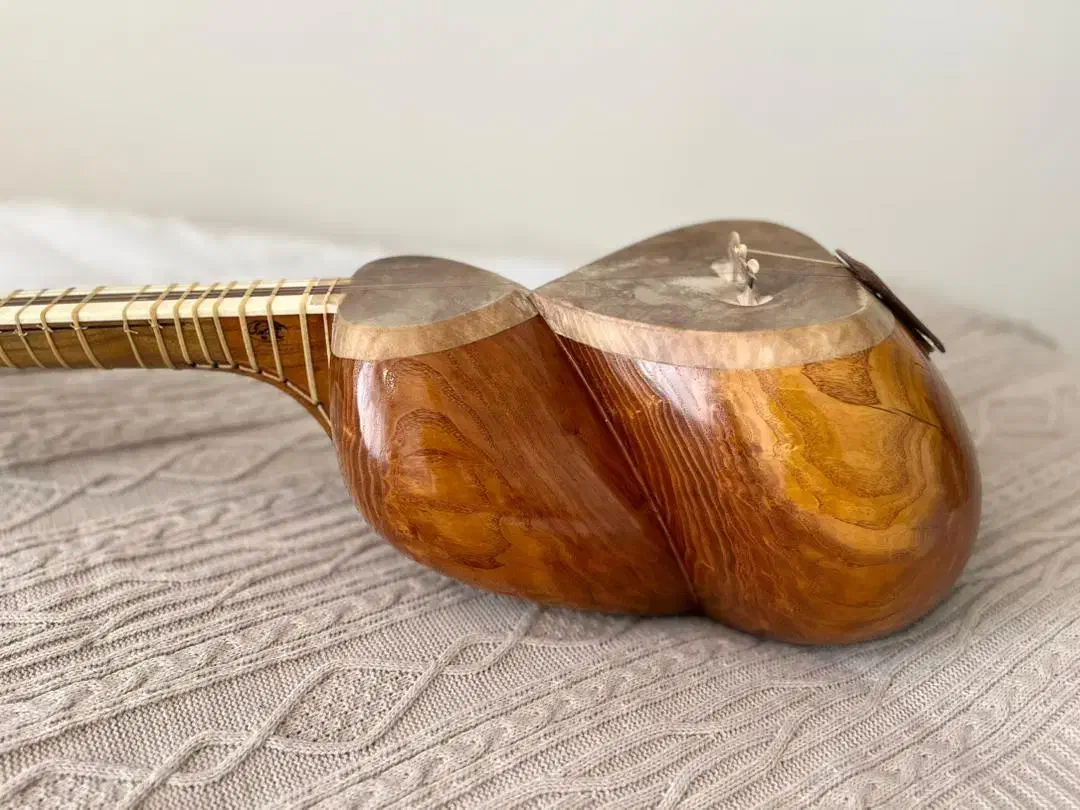 ساز تار بسیار خوش صدا و حرفه ای|سازهای سنتی|تهران, امام حسین|دیوار