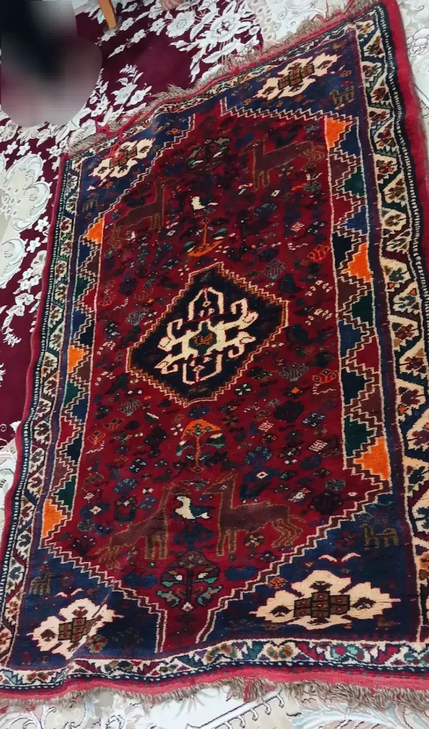 فروش قالی دست باف بدون زدگی بدون سوختگی کاملا سالم|فرش|مرودشت, شهرک مهدیه|دیوار