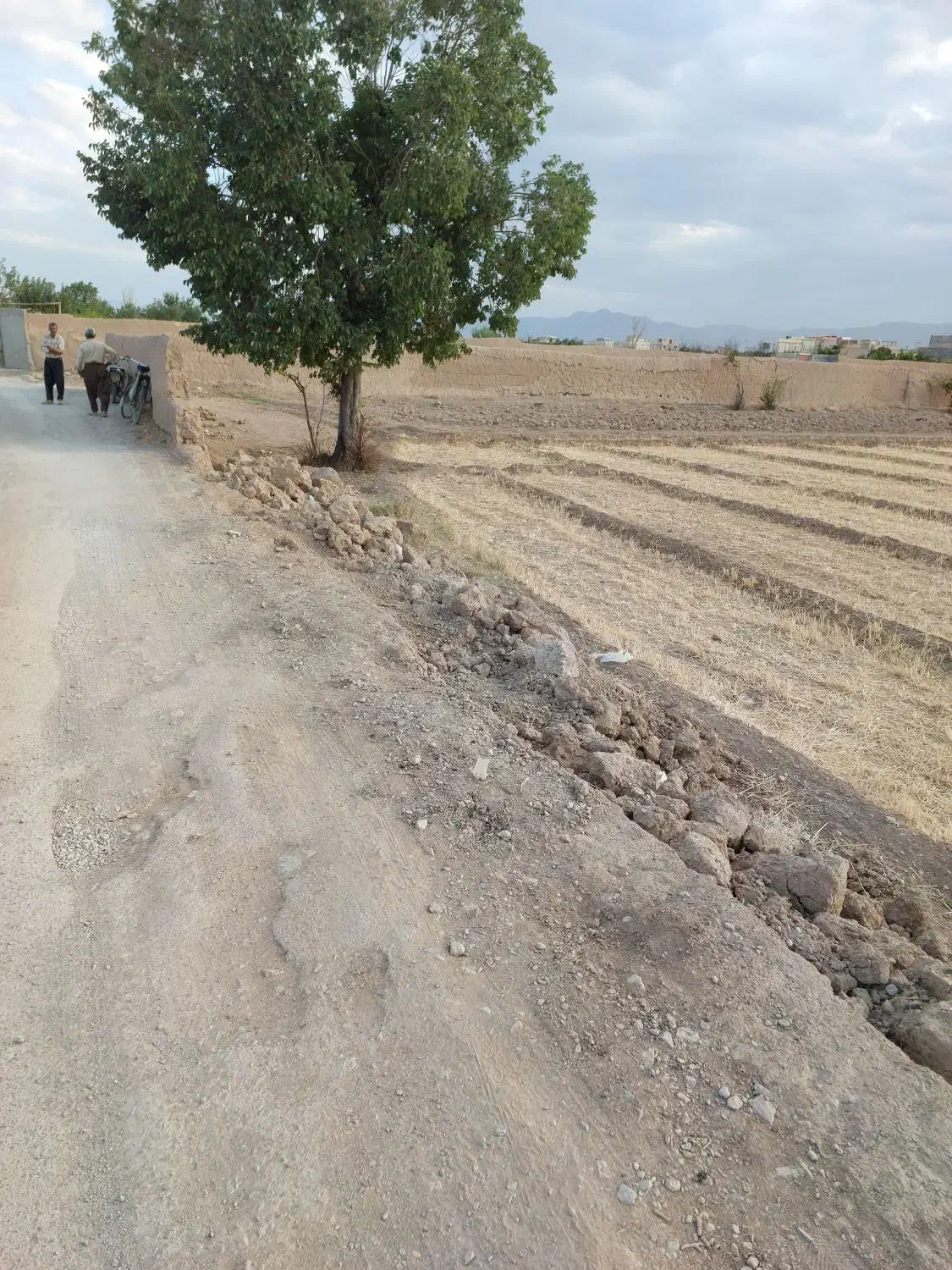 اجاره 100هکتار زمین کشاورزی وردشت سمیرم|اجارهٔ دفتر صنعتی، کشاورزی، تجاری|وردشت, |دیوار